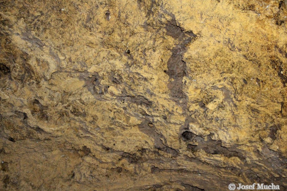 Svatý Jan pod Skalou - sladkovodní pěnovec - detail z jeskyně pod kostelem sv.Jana