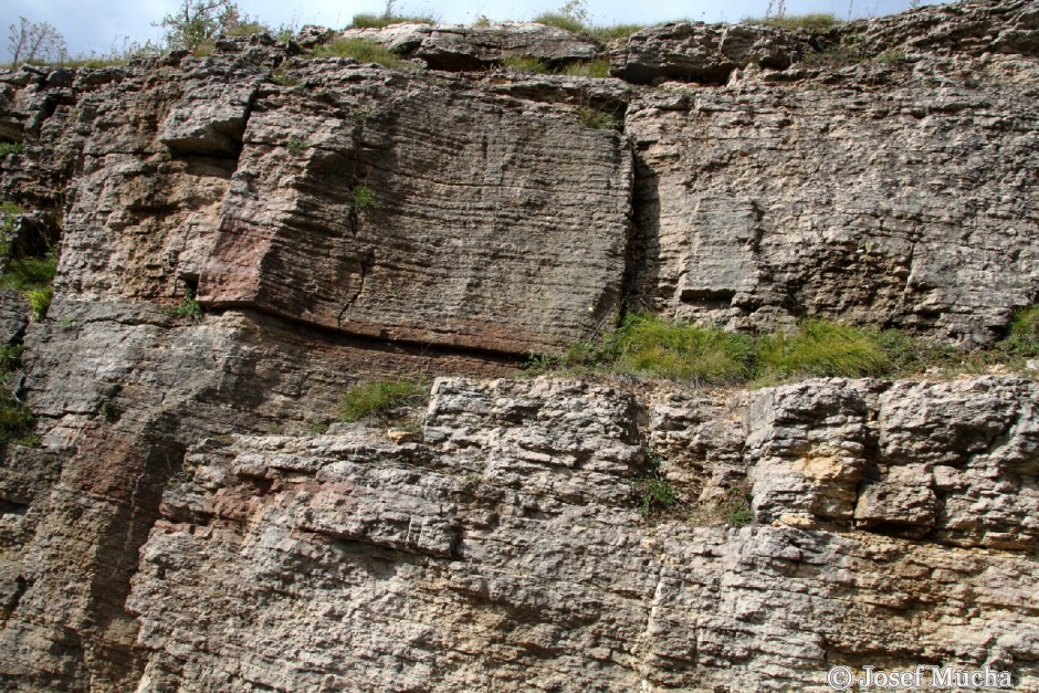 Koněpruské jeskyně - vrstvy devonských vápenců u vchodu do jeskyní