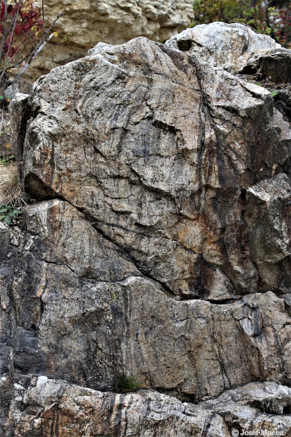 Kaňk u Kutné Hory - páskované migmatity kutnohorského krystalinika