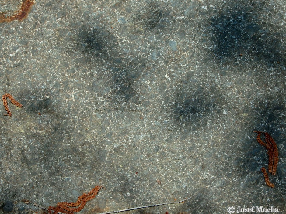 Otmíčská hora - granulovaný čedič - detail