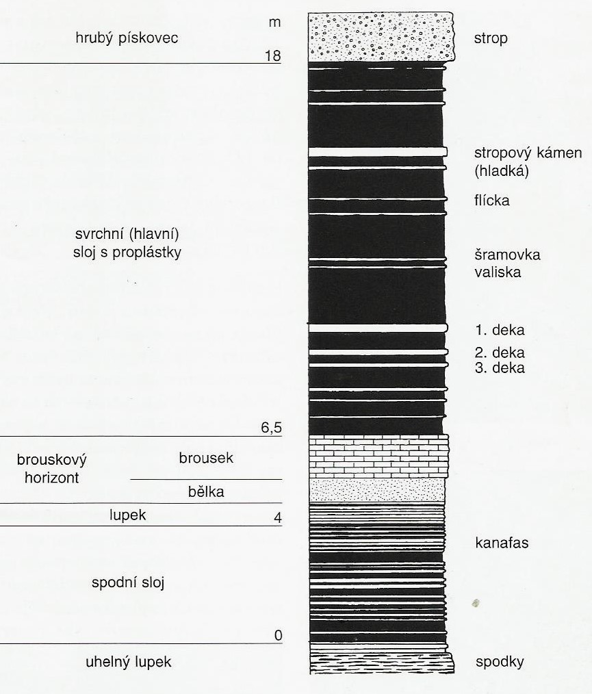 Bašta u Břas – profil černouhelnou pánví - schéma radnické sloje s názvy proplástků, těžitelná byla část od cca 6 do 18 metrů