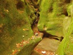 Pivnická rokle - úzký kaňon v druhohorních pískovcích a slínovcích - foto Mirek.219-Vlastní dílo