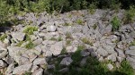 Mařský vrch - kamenné moře z vyvřelé žíly syenitového porfyru 