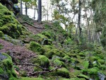 Čertovo břemeno - skalní hřbet ze silicitu (lidově buližník), silicit je velmi tvrdá a erozi odolávající hornina