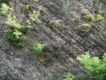 Zahořany u Berouna – letenský profil - střídání vrstev jemnozrnných sedimentů z klidné sedimentace a hrubší vrstvy z období záplav a bouřové sedimentace
