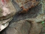 Kozlí hora - Hudlice - výplň mezi polštáři - brekcie tvořená směsí kousků a střípků lávy a částečně břidlicemi vytvořených ze sedimentů bahnitého dna stmelených kalcitem nebo křemenem.  