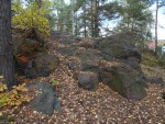 Břasy - vrch Křemenáč - silicitové skalky