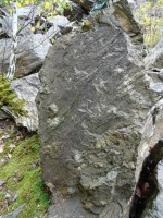 Lom Hvízdalka u Domažlic - dvojslídný svor - žíly a čočky - sekreční (vypocený) křemen