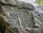 Lom Hvízdalka u Domažlic - dvojslídný svor - žíly a čočky - sekreční (vypocený) křemen