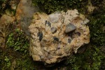 Hrádek - lomy Nad Planinou - bazální slepenec, nejstarší sediment karbonu na Mirošovsku