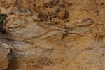 Pískovna Běleč u Karlštejna - chaotické šikmé zvrstvení svědčí o rychle se měnící sedimentaci v třetihorních řekách a jezerech