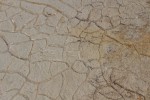Lom U Devíti Křížů (Krákorka) - zkamenělé vysychající rozpraskané bahenní dno jezera