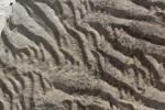 Lom U Devíti Křížů - čeřiny staré 210 mil. let, vzniklé pohybem vody v mělkém prostředí jezera a rychle zakryté novou vrstvou písku