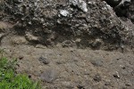 Javorná - lahar - bahnotok je směsicí jemného vulkanického popela, pyroklastik, zvětrávané lávy i možných podložních hornin - horniny barevně rozlišeny