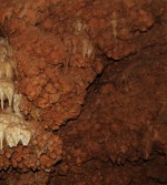 Koněpruské jeskyně - koněpruské růžice (ne bílý sintropád uprostřed) - kulovité tvary na stěně - nejstarší krápníková výzdoba jeskyní - stáří až 1 mil. let - detail