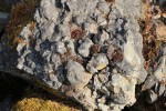 Vrch Vinice - bezolivinický bazalt (čedič) - kuličkový rozpad horniny