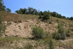 Pískovna Mušlov u Mikulova - doývací prostor byl cca 150 x 200 m, výška stěny až 15 m 