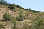 Pískovna Mušlov u Mikulova - sediment je tvořen písky a písčitými jíly s úlomky jurských vápenců z bradla Pálava
