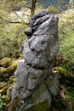 Kozelka u Manětína - skalní věž z trachybazaltu
