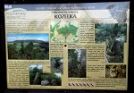 Kozelka u Manětína - cesta z obce Doubravice