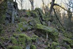 Čertovo břemeno - skalní hřbet ze silicitu, skalky silicitu vystupují až cca 20 m nad okolní terén 