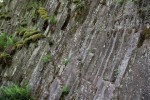 Rotavské varhany - detail sloupcovité odlučnosti - stáří vulkanické horniny 15 mil. let