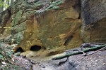 Pivnická rokle - úzký kaňon v druhohorních pískovcích a slínovcích - vyhloubené jeskyňky a tunely