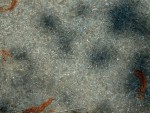 Otmíčská hora - granulovaný čedič - detail