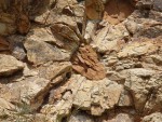 Kamenná slunce u Hnojnic vznikla při bouřlivé explozi šokově přeměněných vodních par za vzniku kráteru mnoho set metrů hlubokého