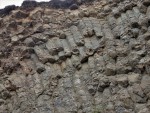 Těšetice - lom - šikmo uložená sloupcová odlučnost - na mnoha místech je bazalt příčně rozpukán 