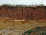 Pískovna Běleč u Karlštejna - třetihorní vrstvy písků a jílů s kvartérním pokryvem sprašemi - eolické (váté) sedimenty