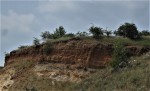 Pískovna Běleč u Karlštejna - třetihorní (miocén 23 - 5 mil.let) vrstvy písků a jílů s kvartérním pokryvem  (glaciální spraše)