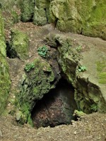 Aksamitova brána - pohled na vstup do propasťovité jeskyně Ve Vratech dlouhé 16 m. p