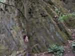 Slánská hora - rozpukané a posunuté bloky se sloupcovou odlučností olivinického nefelinitu