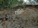 Vinařická hora -  velký xenolit - vypálená opuka (pouze na okrajích - hnědá část, uvnitř původní žlutavá opuka) z křídových podložních hornin vulkánu 