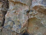 Čertovo břemeno - skalní hřbet ze silicitu  - silicit vedle kapličky má zajímavé hnědavé až medové zbarvení