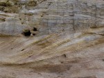 Sokolovská pánev - Starosedelské souvrství - detail šikmých vrstev - sedimentace v říční deltě do jezera