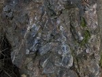 Vyhlídka Mariina skála u Milínova - detail mírně tektonicky porušeného silicitu a následné vyhojení bílým křemenem