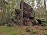 Andrejšky pod vrchem Radyně - silicitový (buližníkový) hřbet -  zvětrávající bloky hornin
