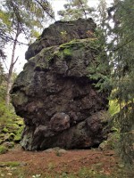 Andrejšky pod vrchem Radyně - silicitový hřbet - jsou zde i horolezecké trasy