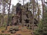Andrejšky pod vrchem Radyně - silicitový (buližníkový) hřbet vysoký až 15 m působí v lese monumentálním dojmem