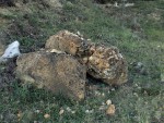 Písečný vrch u Bečova - vypreparované xenolity podložních hornin (slínovec - opuka) původně vytržené při mohutném freatomagmatickém výbuchu z podložních druhohorních křídových sedimentů