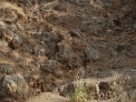 Vrch Homole - alterované bazalty, žlutobílošedé jílovité minerály vzniklé působením horké vody a páry při chladnutí po vulkanické erupci