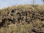 Vrch Homole - alterované bazalty, v horní části vrchu nedocházelo ke kontaktu s vodou a z tohoto důvodu jsou zde bazalty s balvanitou odlučností bez alterace