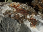 Háje u Koterova - druhotná hydrotermální mineralizace s vysráženým křemen s pyritem