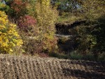 Linhorka - český granát (pyrop) - pohled na pahorek otevřený zářezem