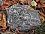 Kaňk u Kutné Hory - páskované migmatity (nejvyšší stupeň metamorfózy - překrystalizace) kutnohorského krystalinika