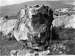 Písečný vrch u Bečova - křemence "sluňáky" byly rozesety po celém vrchu po milióny let než byly komunisty zničeny a odtěženy