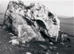 Písečný vrch u Bečova - křemence "sluňáky" byly rozesety po celém vrchu po milióny let než byly komunisty zničeny a odtěženy, měly úctyhodnou velikost (viz osoba vedle stojící)