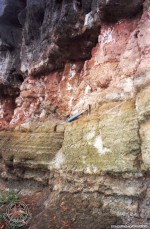 Vojkovická skála - detail vrstev - šedozelené sedimentované tufy na bázi, kontaktně metamorfované červenohnědé tufy, šedočerný lávový proud - foto www.geology.cz/foto/18299